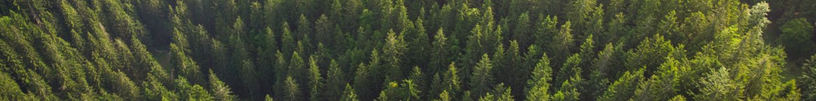 Naturvielfalt in den Alpen stärken