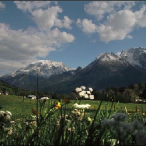 Ramsauer Idyll und das Schwarze Alpenschwein; Bilder: Tourist-Info Ramsau & Hotel Rehlegg. Vergrösserte Ansicht