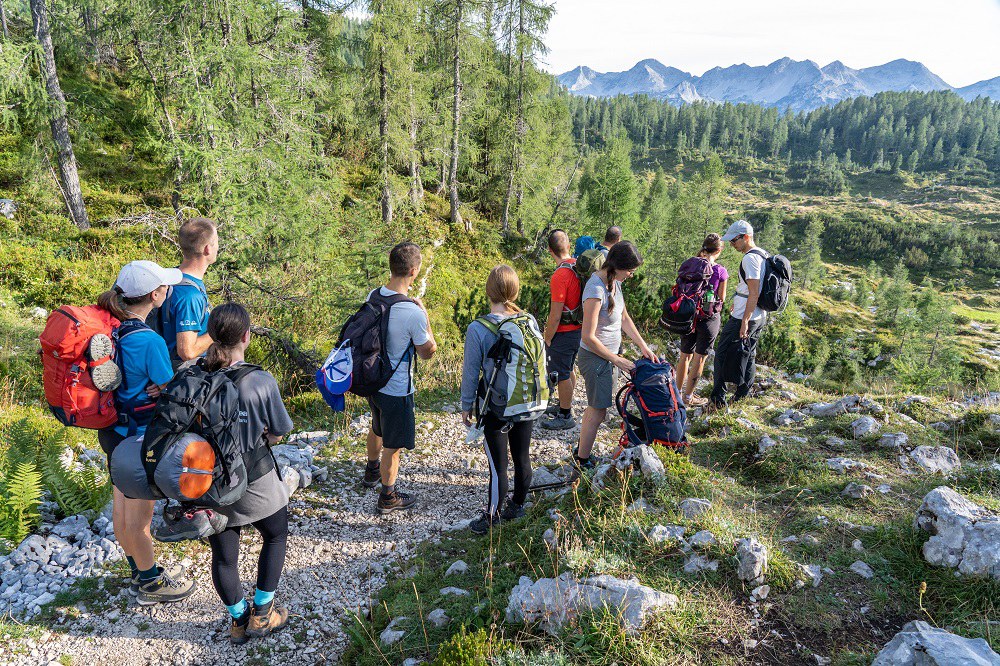 Eine Gruppe Jugendliche stehen mit Rücksäcken auf einem Wanderpfad, im Hintergund Bäume und Berge