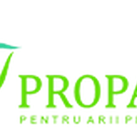 Pro Park Logo.png. Vergrösserte Ansicht