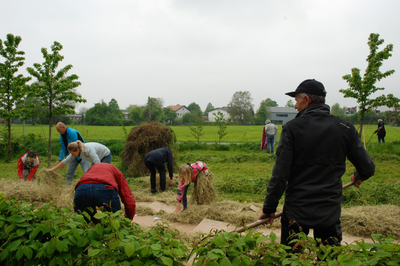 Mit Kartoffeln zum lockeren Boden