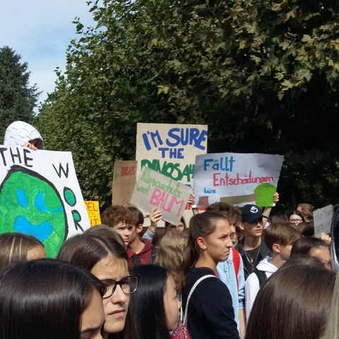Klimastreik in Bregenz (c)CIPRA International (4). Vergrösserte Ansicht