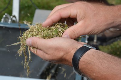Naturvielfalt stärken: Pilotregionen teilen Erfahrungen