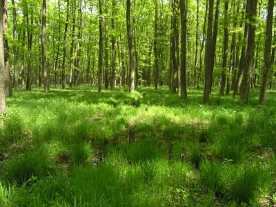 Stadt, Land und Berg im Gleichgewicht