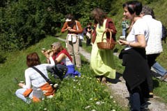 Altes Kräuterwissen neu entdeckt: Das "Alchemilla-Kräuterprojekt" 