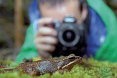 Einsatz für die Vielfalt: Die Naturfreunde Internationale rufen zum Fotowettbewerb auf