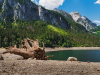 Die Alpen trocknen aus