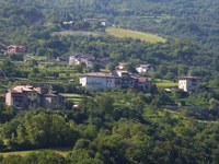 Weinberg statt Bergwald?