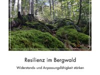 Workshop zum Bergwaldprotokoll der Alpenkonvention: Resilienz im Bergwald - Widerstands- und Anpassungsfähigkeit stärken