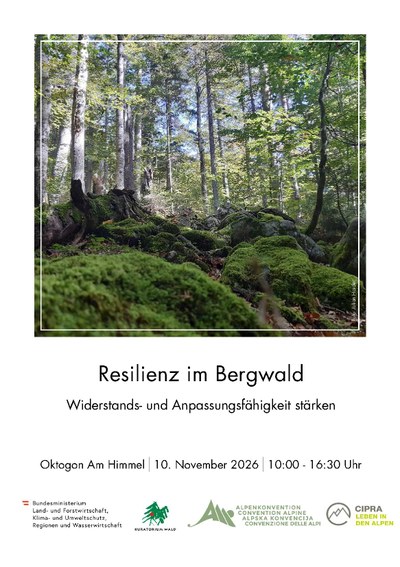 Workshop zum Bergwaldprotokoll der Alpenkonvention: Resilienz im Bergwald - Widerstands- und Anpassungsfähigkeit stärken