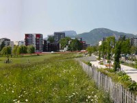 Naturbasierte Lösungen in alpinen Kommunen