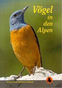 Vögel in den Alpen
