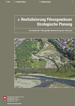 Cover Revitalisierung Fliessgewässer: Strategische Planung