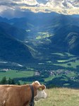 Exkursion: Almen im Spannungsfeld zwischen Klimawandel und Nutzungsvielfalt