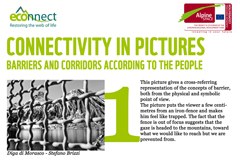 The winning pictures of ECONNECT