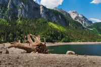 The Alps are drying up