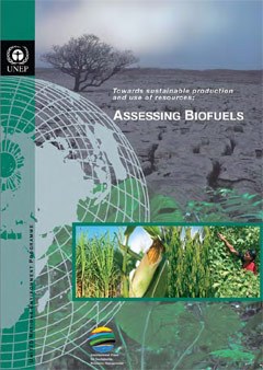 Towards sustainable production and use of resources: Assessing Biofuels