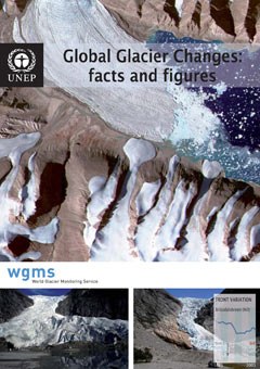 Global glacier changes. Facts and figures 