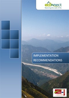 Implementation Recommendations