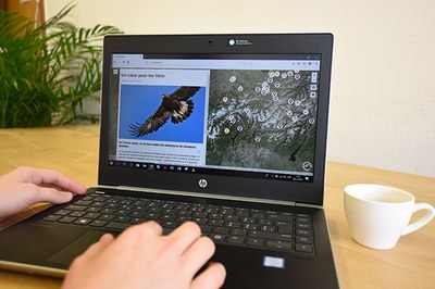 Champ d’action : nature et être humain