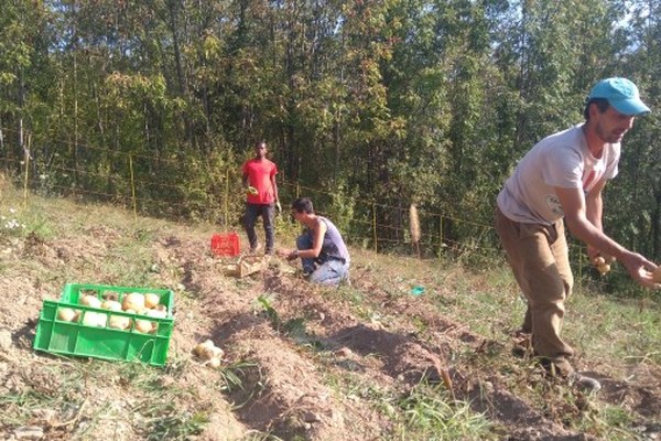 Entretenir les paysages et les relations