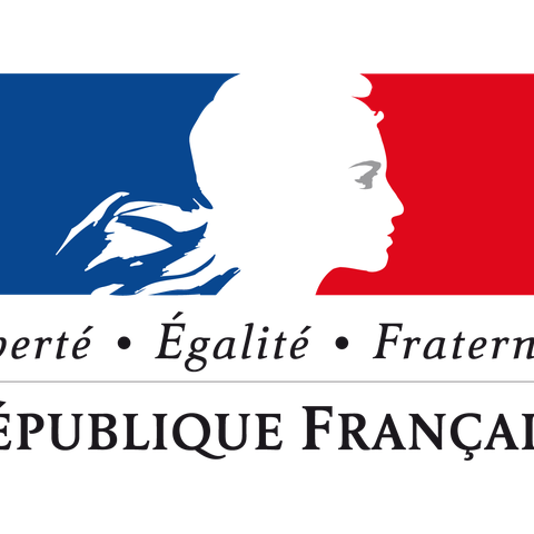 Logo France, enlarged picture.