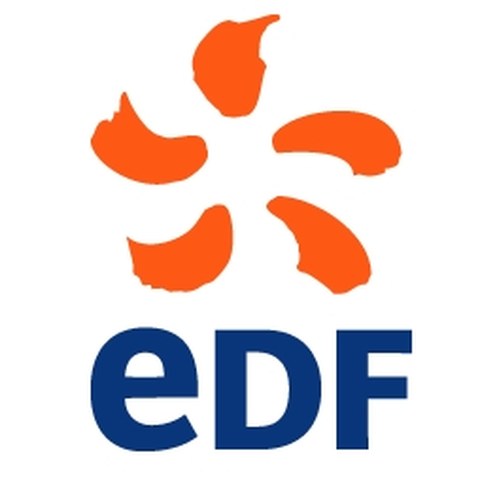 logo-edf.jpg, enlarged picture.