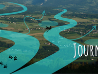 Journées techniques d'échanges du REAUM 2026 : « Trame Turquoise : de la connaissance à la restauration »