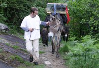 Préservation des plantes cultivées et des races d'animaux domestiques traditionnelles