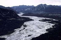 Der italienische Alpenfluss Tagliamento/Friaul.