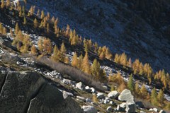 Les effets du changement climatique sur l'Autriche