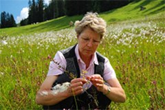 500 agriculteurs et agricultrices de toute l'Autriche observent les plantes et apprennent ainsi comment contribuer à la protection de la nature grâce à leur travail.