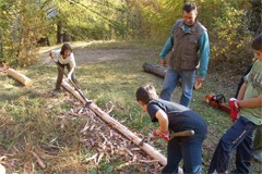 Le Prix alpin pour la forêt de protection 2009 attribué à des projets exemplaires