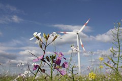 Prix Arge Alp : soleil, vent ou biomasse… L'important, c'est qu'il s'agisse d'une énergie renouvelable.