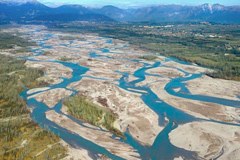 Tagliamento : le dernier grand fleuve d'Europe centrale à s'écouler encore majoritairement sans entrave.