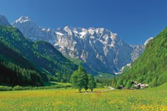 Logar : la protection de la nature est-elle une entreprise économique ?