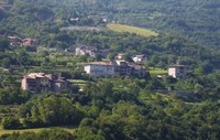 Des vignobles à la place des forêts de montagne ?
