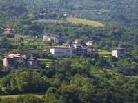 Des vignobles à la place des forêts de montagne ?