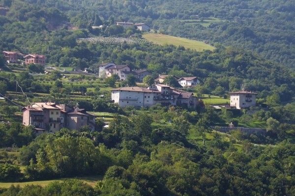 Des vignobles à la place des forêts de montagne ?