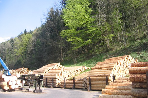 L’exploitation soutenable de la forêt devrait prendre en compte la quantité de bois prélevée, mais aussi d’autres facteurs tels que les routes d’accès ou la demande énergétique. © CIPRA International