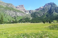 Les espaces protégés alpins et le changement climatique
