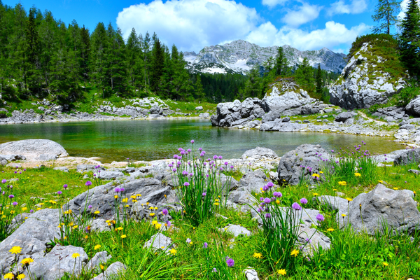 Pourquoi interdire la baignade dans les lacs d’altitude ?