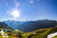 Test de résistance pour la nature