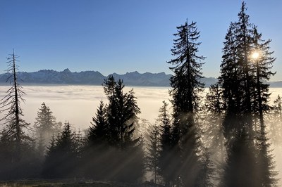 Les paysages alpins ne sont pas renouvelables !