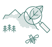 La Teoria del Cambiamento