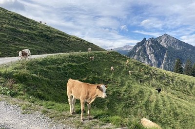 Paesaggio e agricoltura
