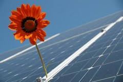 Puntare sull'energia solare: uno dei molti interventi possibili per la protezione del clima.