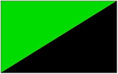 L'organizzazione ambientalista Legambiente a colori: bandiere verdi e nere per segnalare le buone pratiche e denunciare gli abusi nell'area alpina.