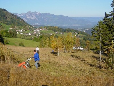 La biodiversità come bene comune