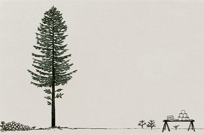 Un albero ha sette vite